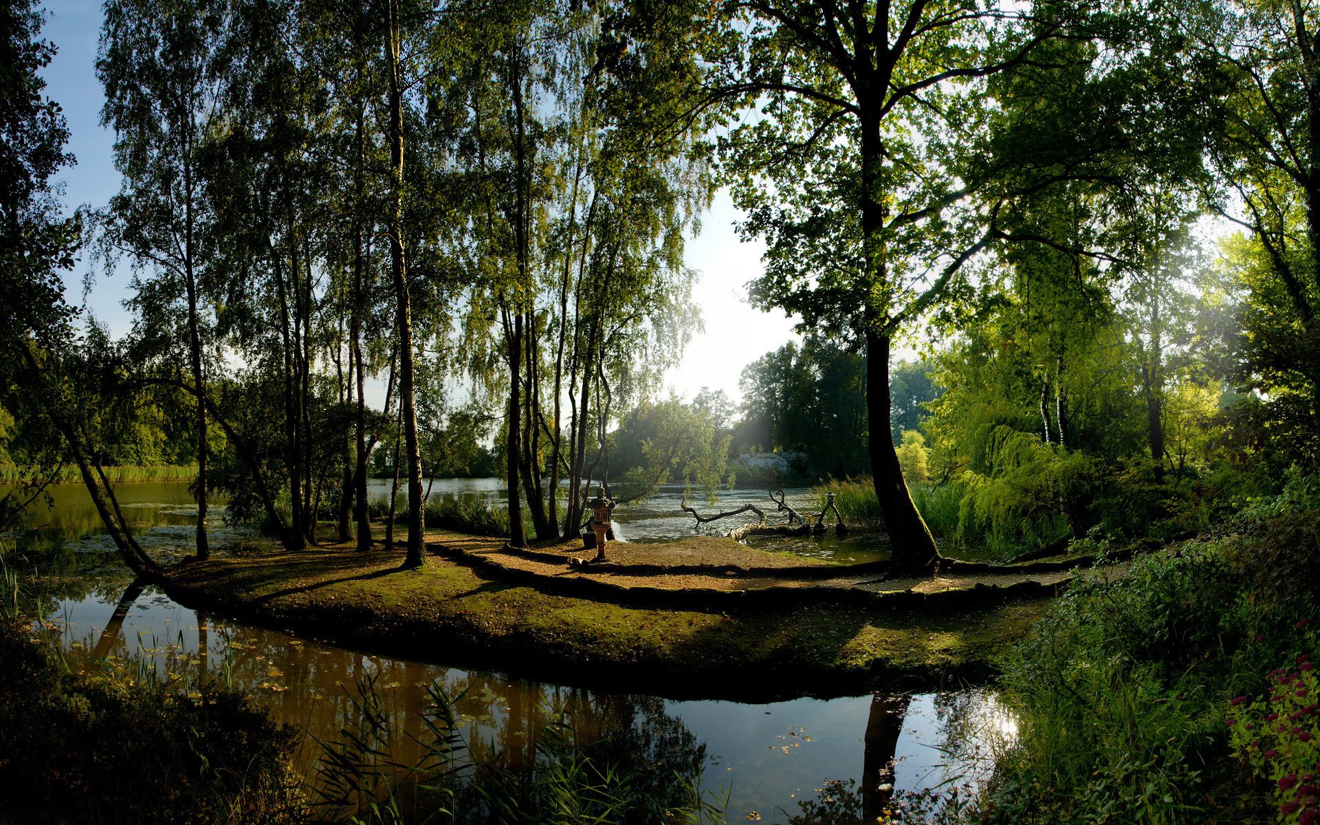 alberi sole acqua riflessione verde