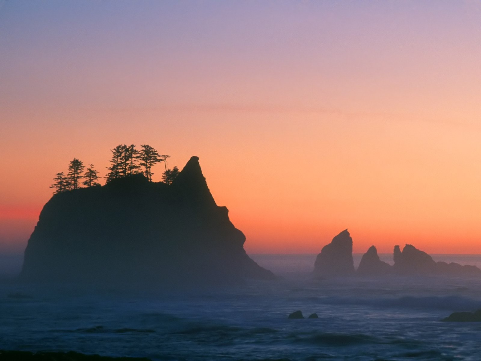 rocce mare tramonto alberi onde