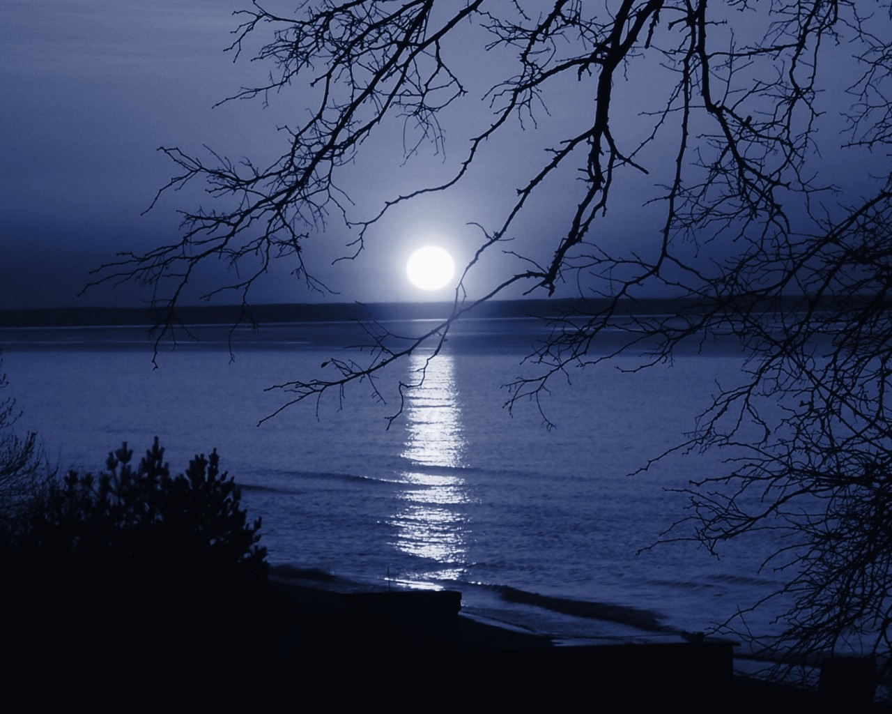 full moon moon sea coast night moonlight