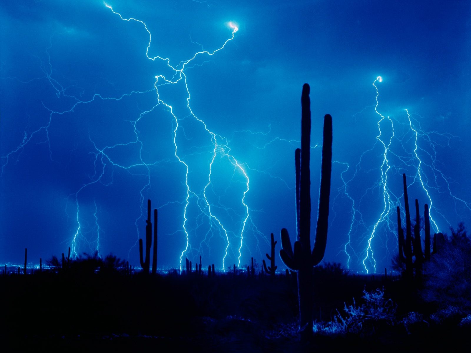 desert lightning cactus night the storm cloud