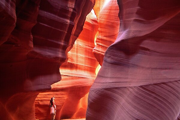 La ragazza sta dentro il Grand Canyon e guarda in alto