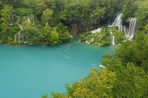 Blauer See, umgeben von grünen Bäumen