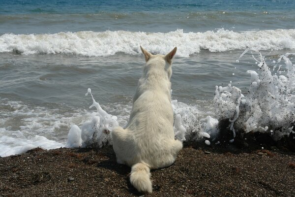 Moskoy Beach. Un regard dans l horizon