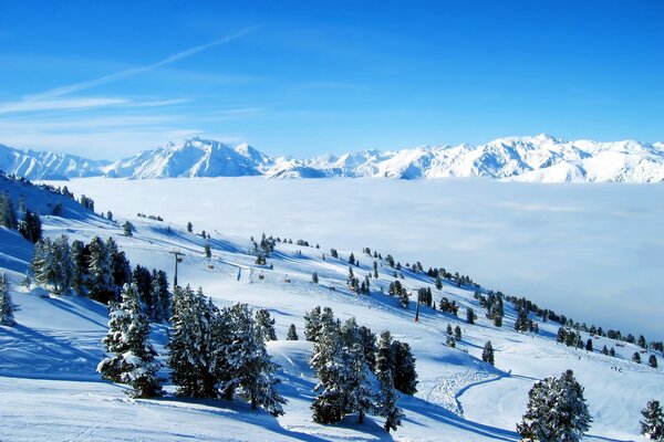 Imagen del bosque de invierno y las montañas