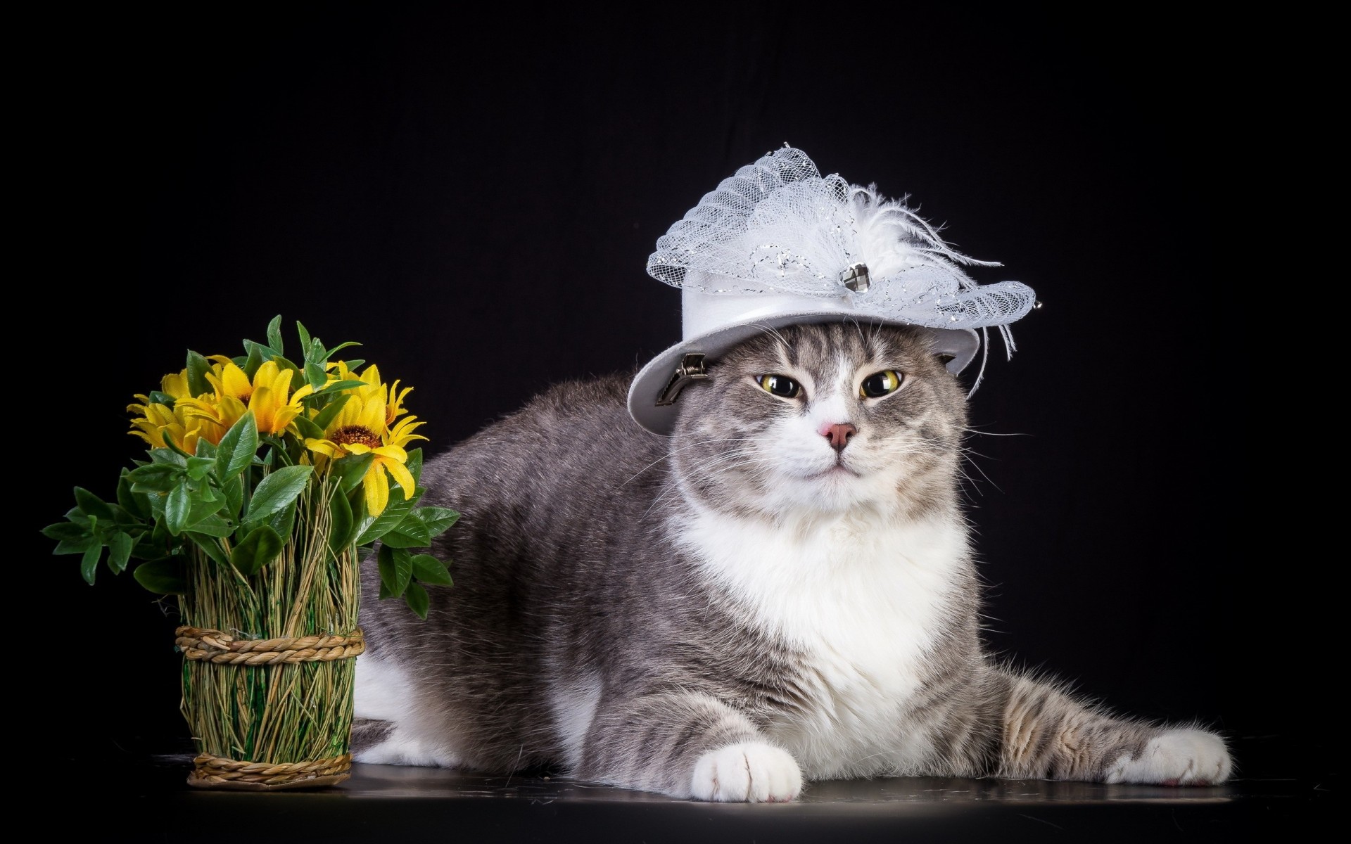 hat cat flower