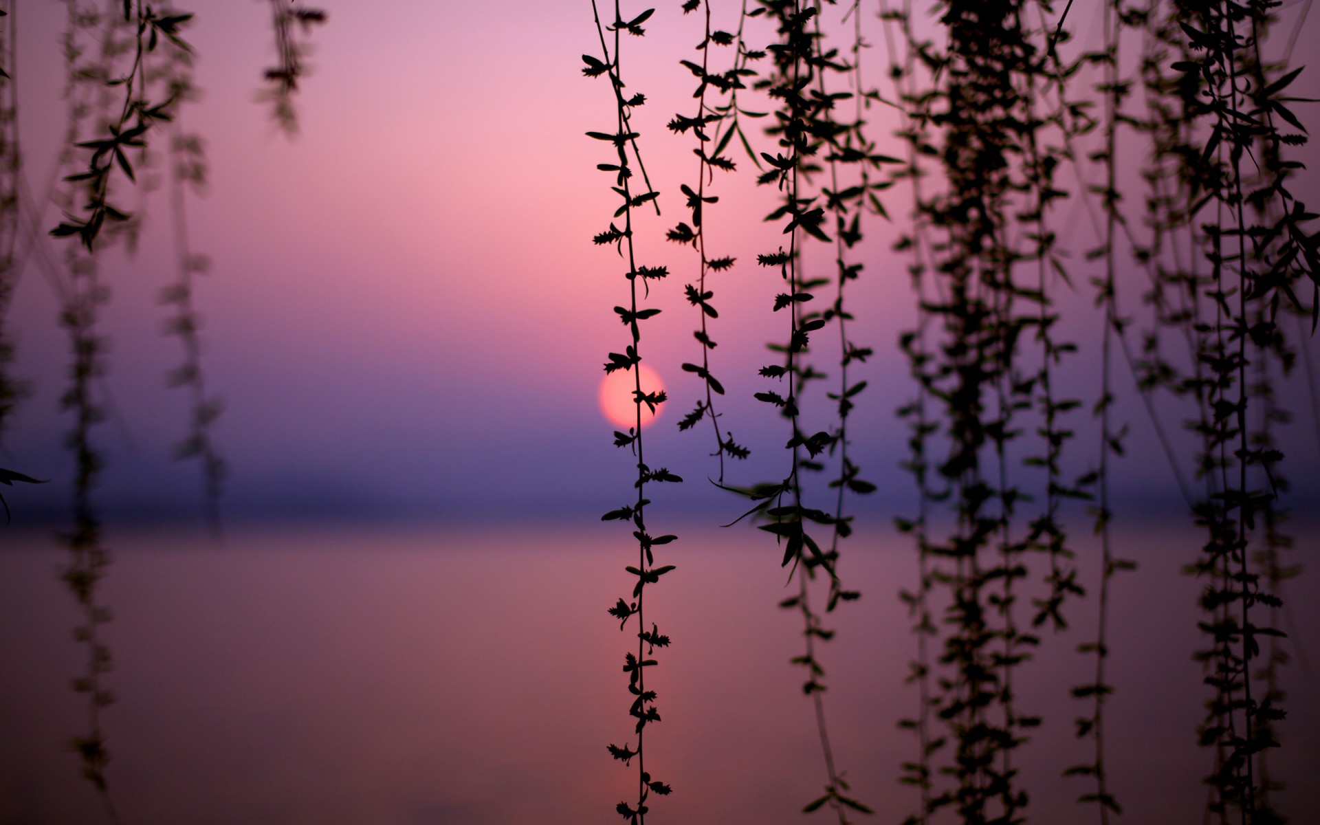 china lake sunset