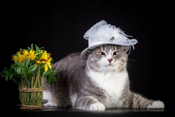 Modische Katze mit Hut und Blumen