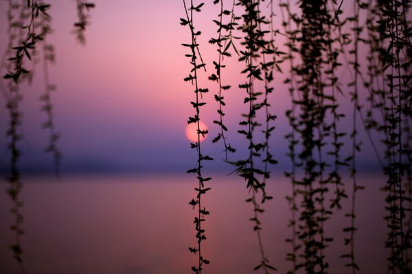 Schöner See bei Sonnenuntergang