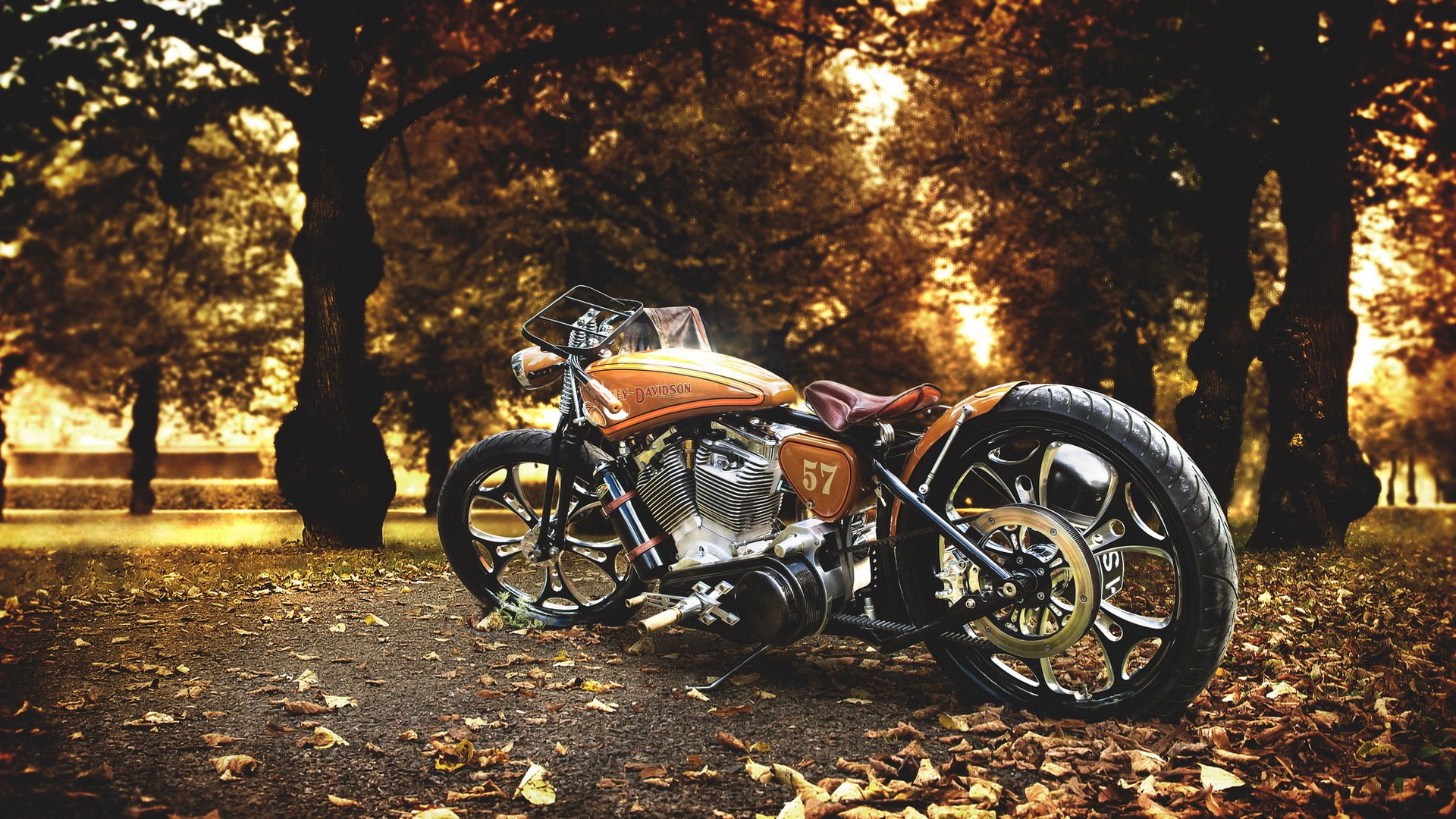 harley motocykl tło