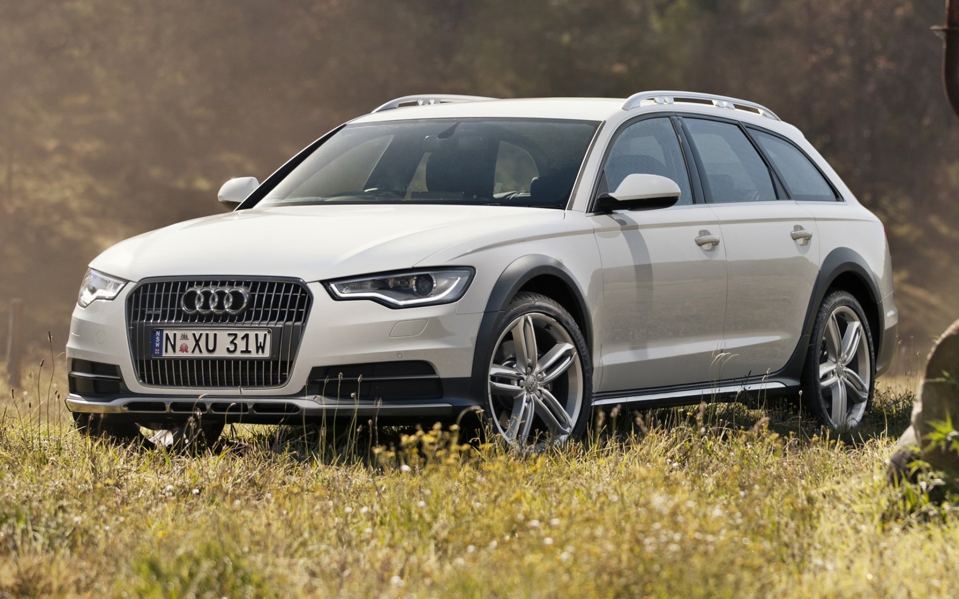 audi a6 allroad 3.0 tdi quattro ауди оллроад кватро универсал белый передок.трава фон