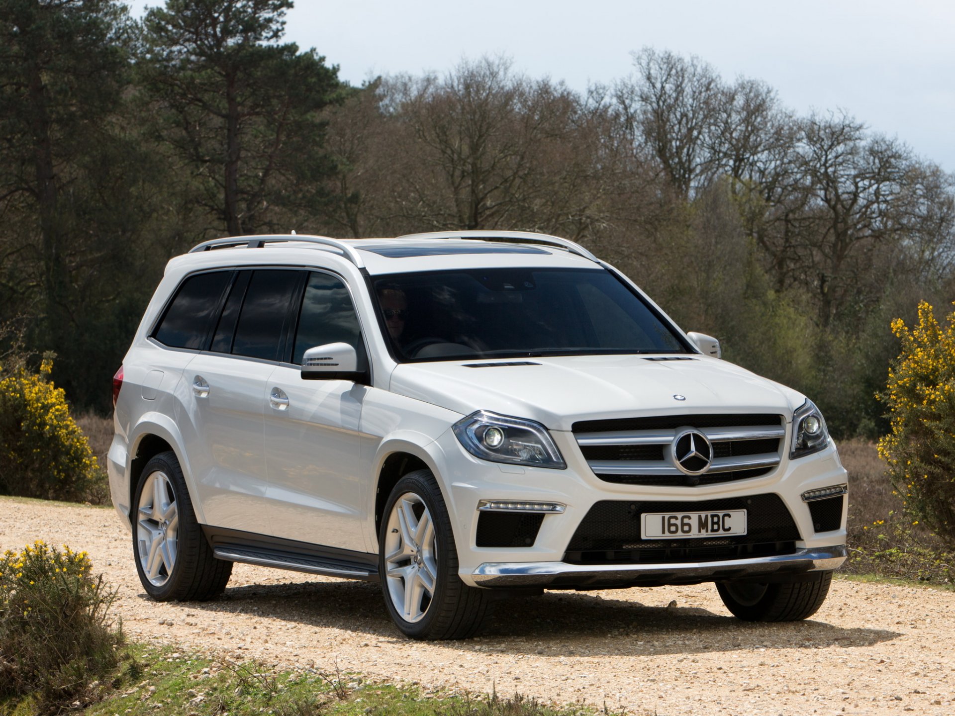 mercedes-benz gl 350 bluetec amg pakiet sportowy samochód drzewa mercedes