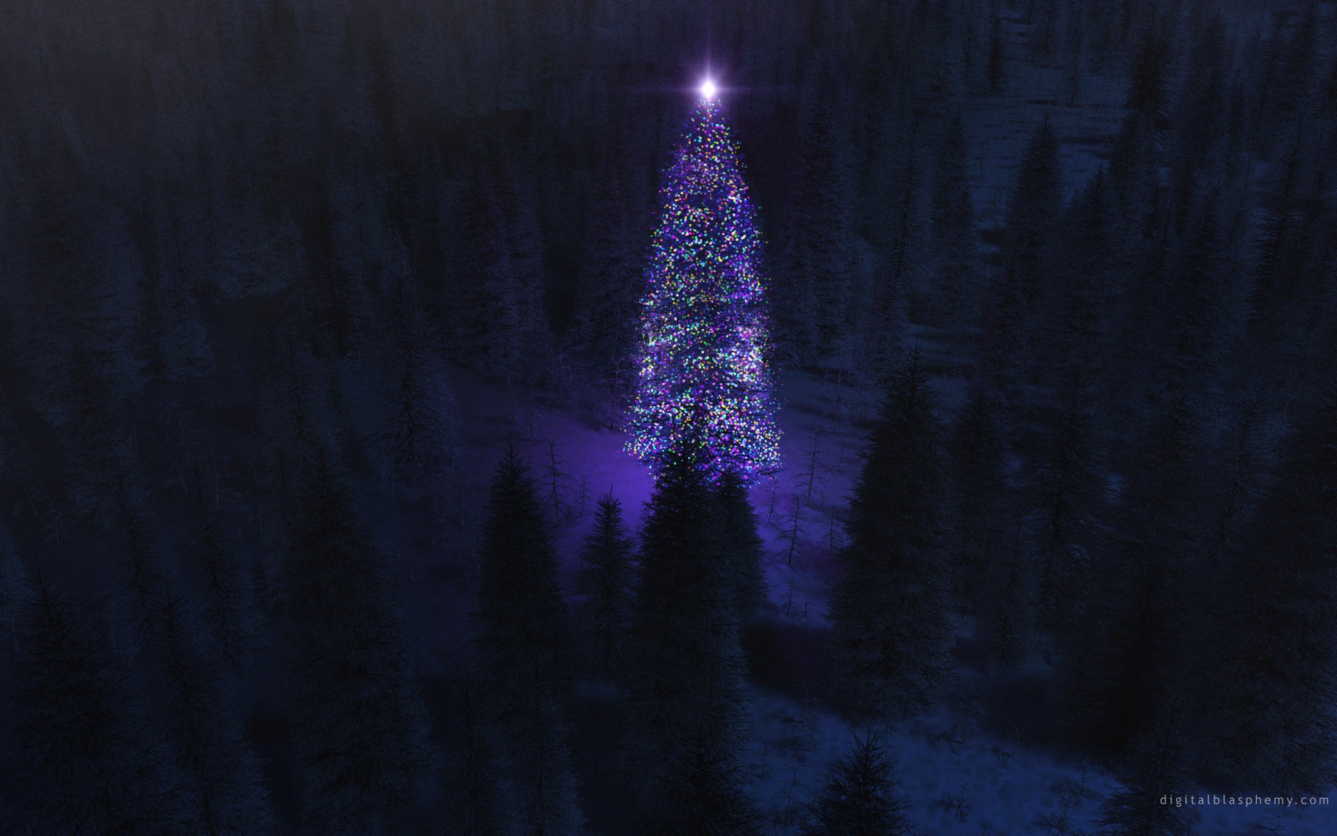 albero di natale notte luci foresta