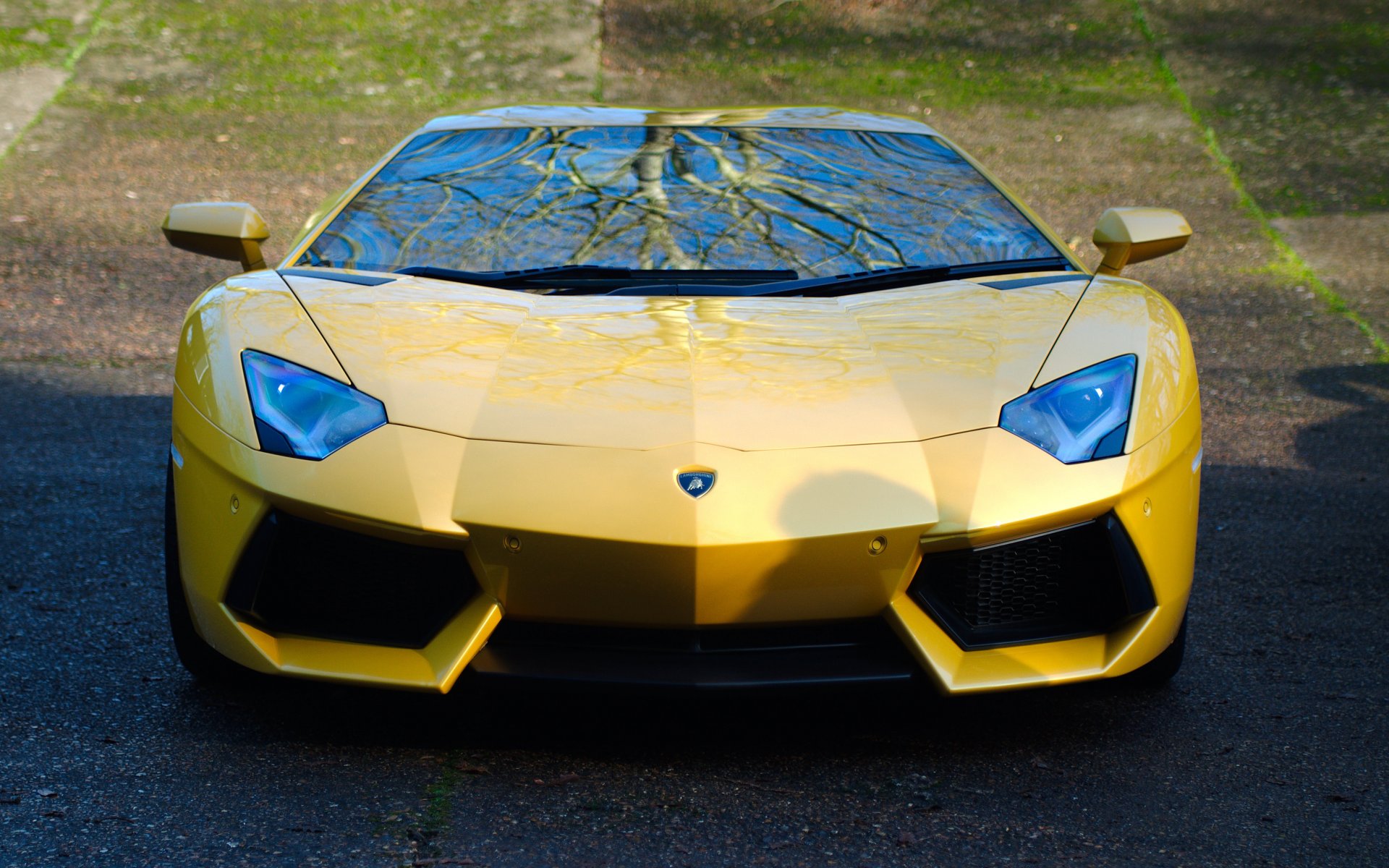 lamborghini aventador lp700-4 желтый ламборгини авентадор передок отражение тень