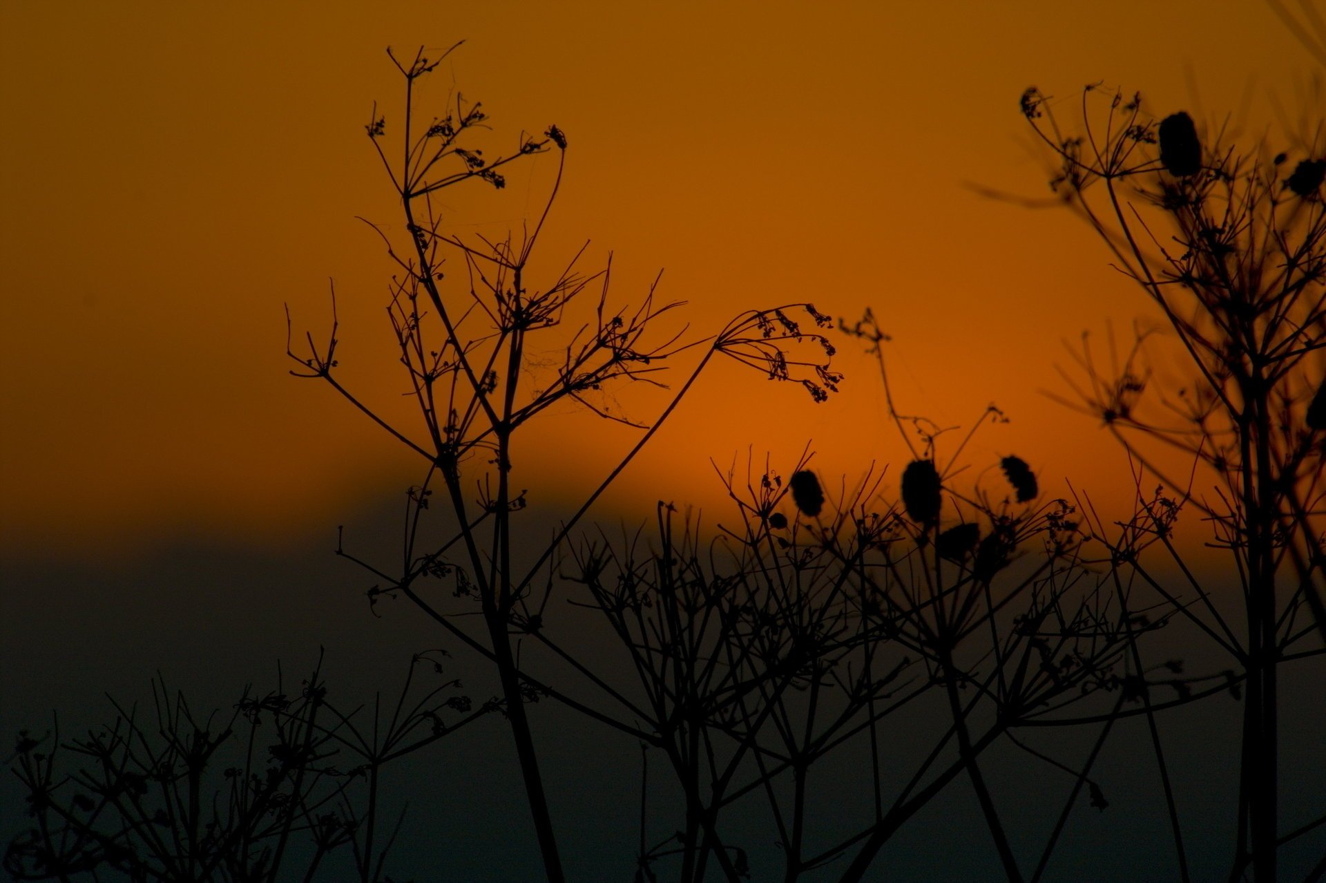 fond noir et jaune nature montagnes coucher de soleil