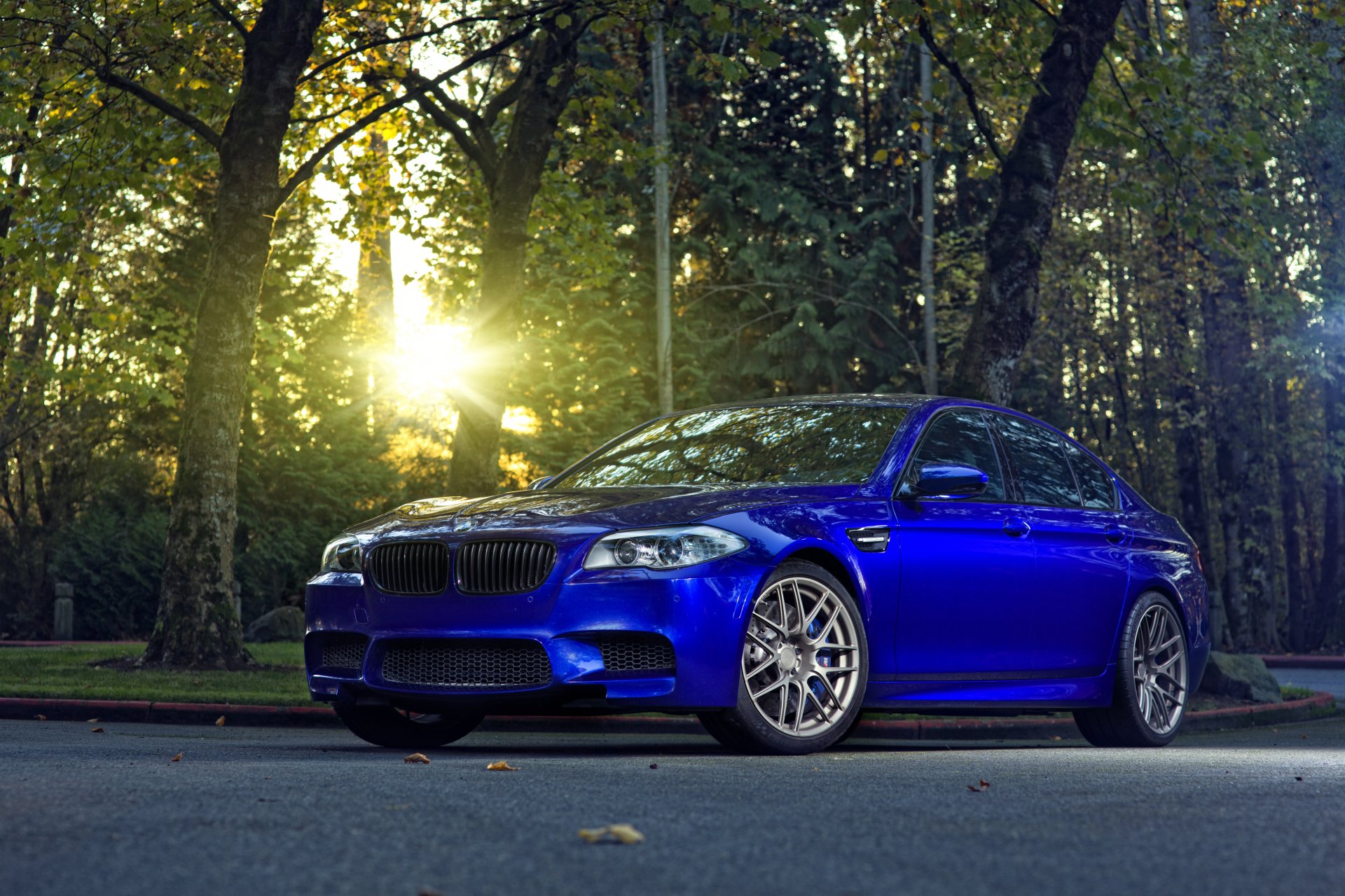 bmw m5 f10 monte carlo blue bmw blue sun glare tree