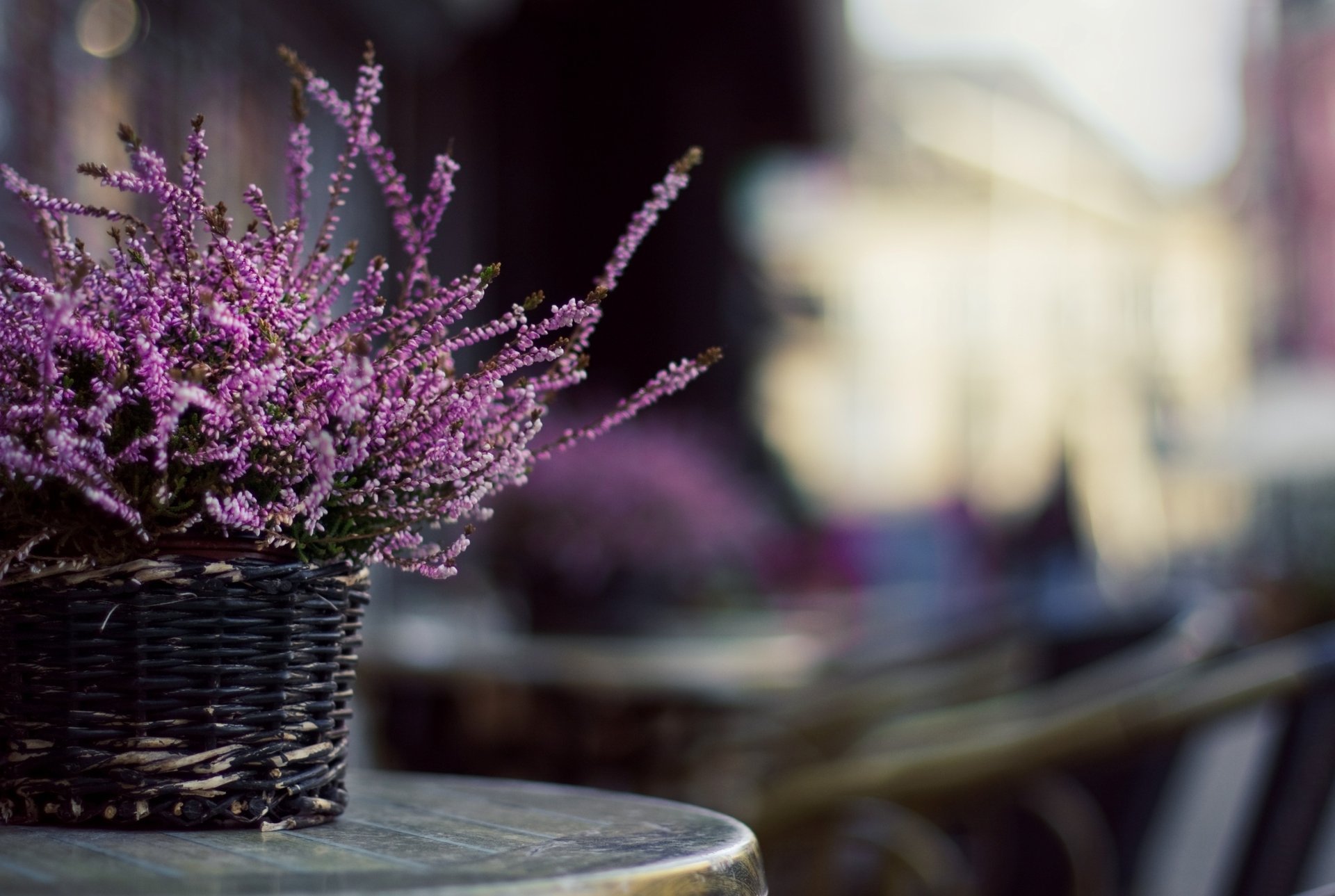 photo bowl blur braided basket table