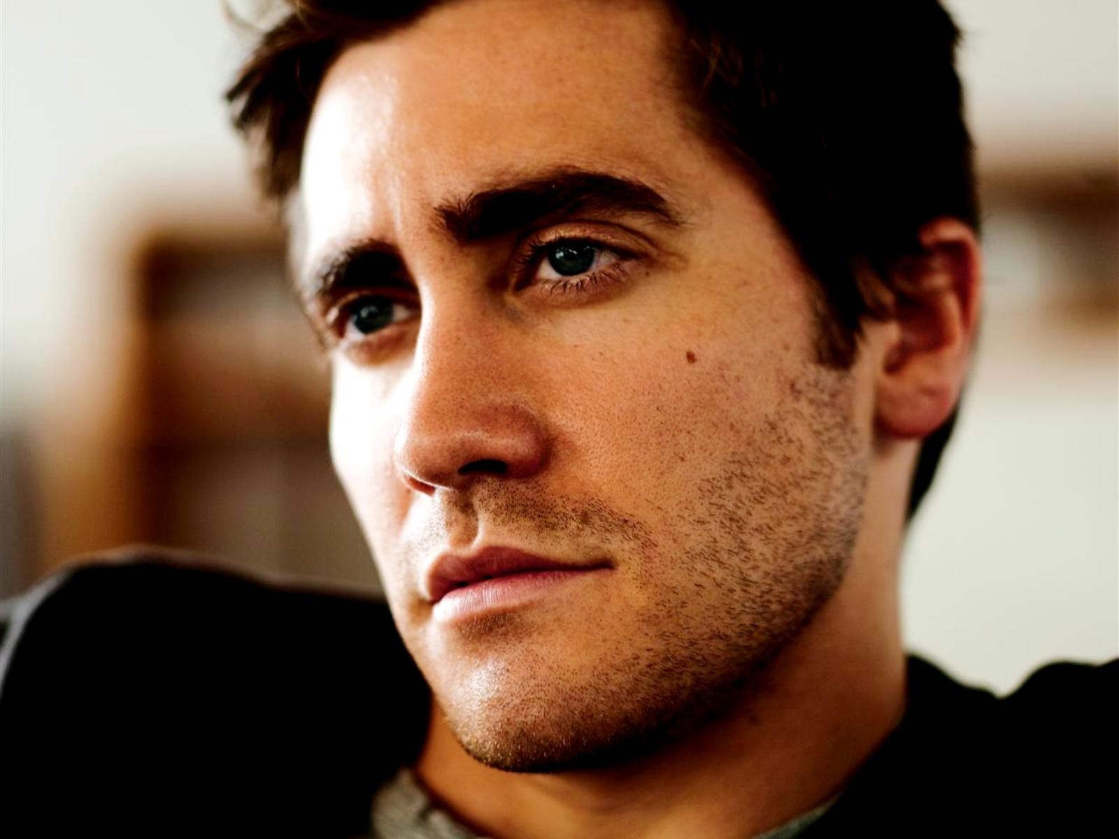 jake gyllenhaal maschio attore viso setole