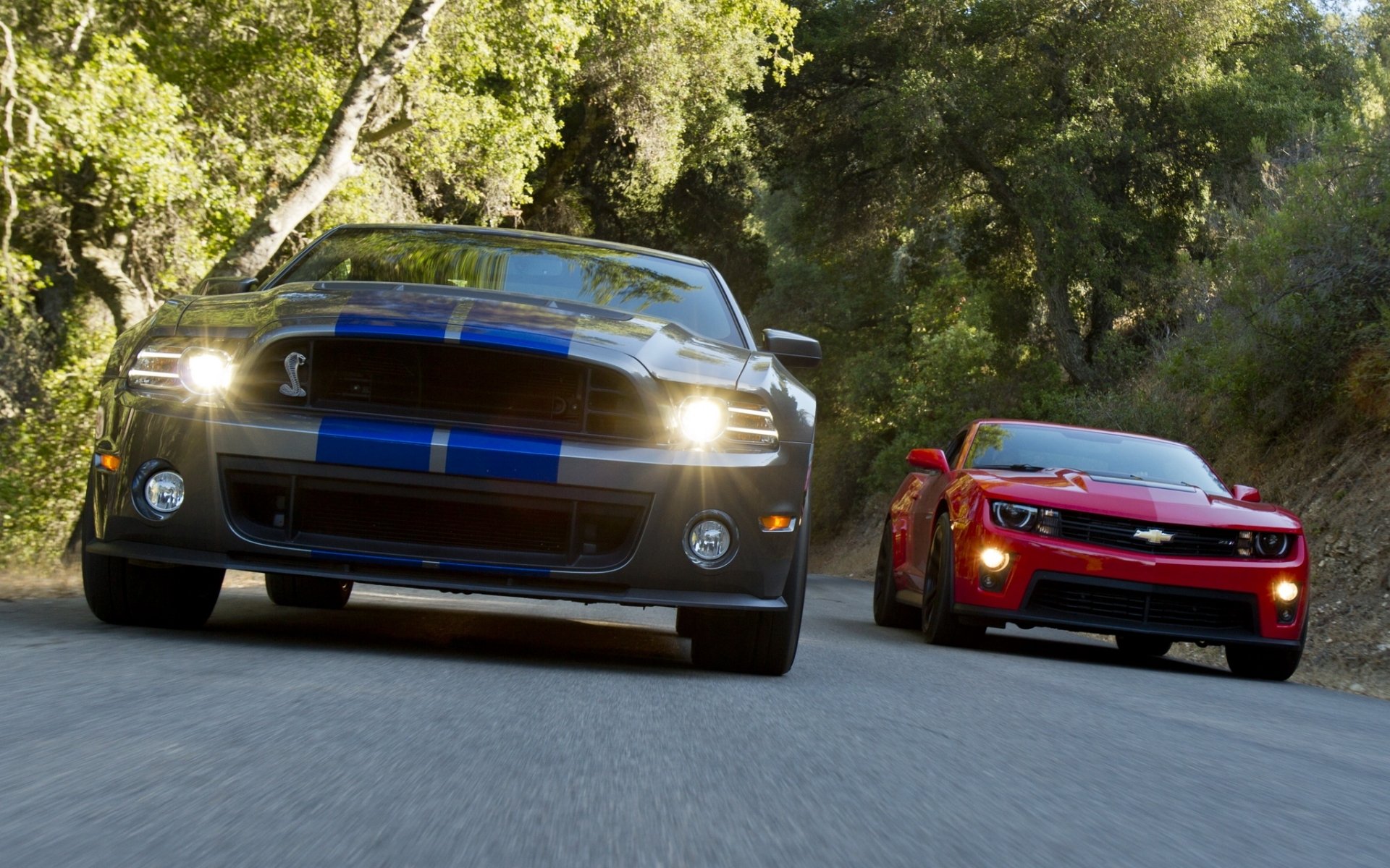 ford mustang shelby gt500 y chevrolet camaro zl1 coche del músculo coche del músculo frente fondo