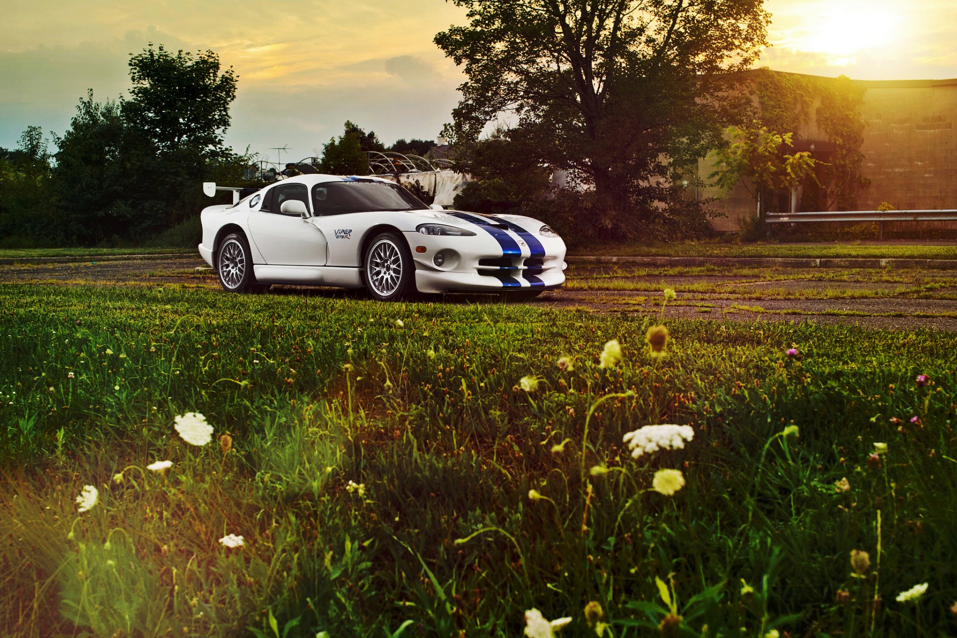 dodge viper gts r white shoulder flower sun highlight