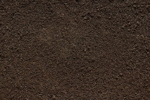 A smooth background of dark brown soil with small light inclusions