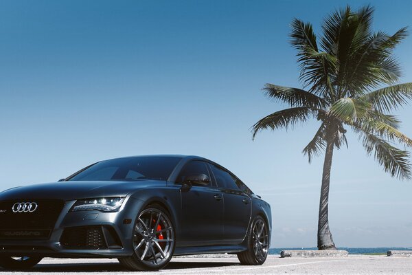 Luxury audi parking on the background of blue sky and palm trees