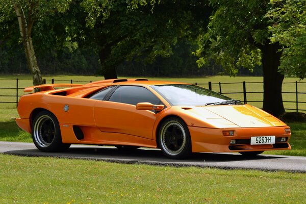 Une lamborghini Diablo orange au milieu de la nature et des arbres