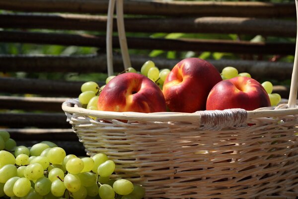 Wicker basket with grapes and ripe nectarines