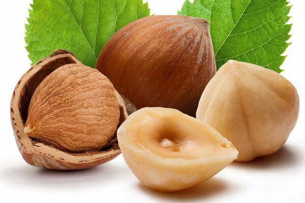 Photo of a hazelnut kernel with a green leaf close-up