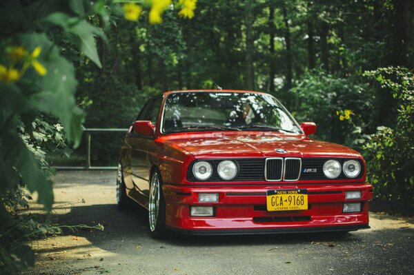 BMW rossa nella foresta verde