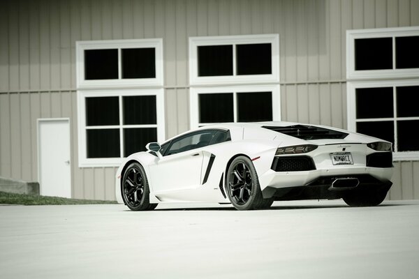 Lamborghini blanc sur fond de bâtiment