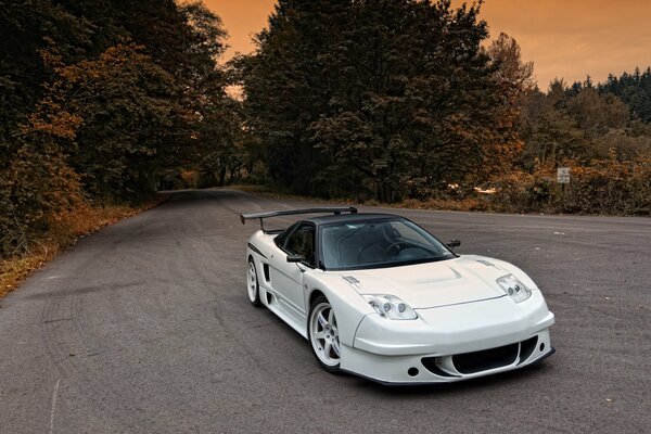 White and black Honda acura nsx on the background of the sunset autumn sky