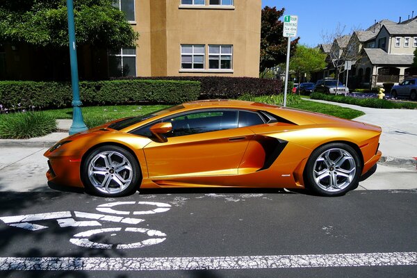 Żółty Lamborghini Aventador z profilu na trawniku