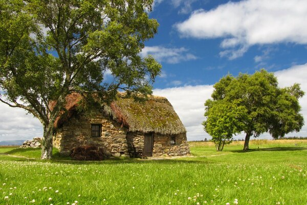 Casa antigua en un campo verde