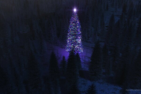 Árbol de Navidad con luces en la noche en el bosque oscuro