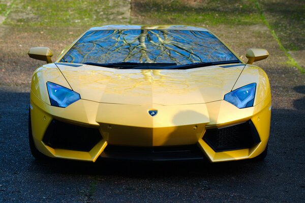 Ein Lamborghini in seiner ganzen Pracht in der Natur