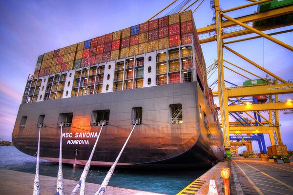 Msc savona ist ein riesiges Schiff am Kai eines Containerschiffes