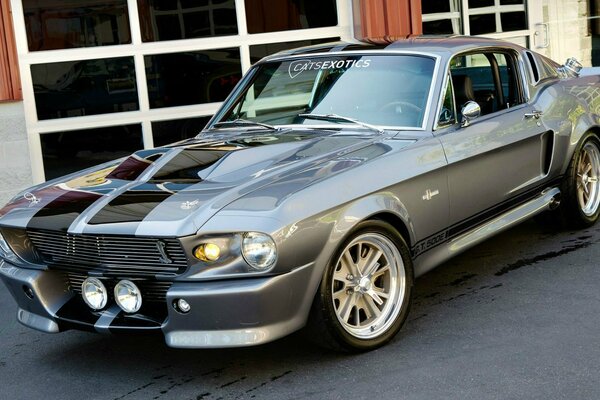 Ford Mustang. I m ready for an adventure