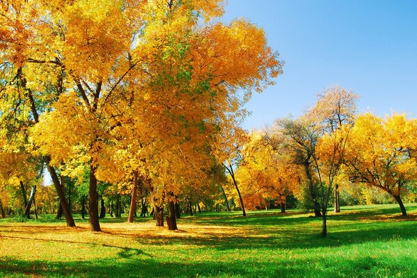 Tiempo soleado de otoño a veces