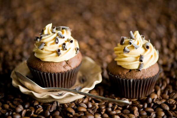 Kaffee-Muffins mit Schokoladenstückchen auf einem Hintergrund von Kaffeebohnen