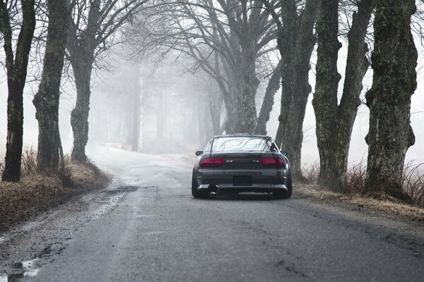 Nissan s13 in the forest fog