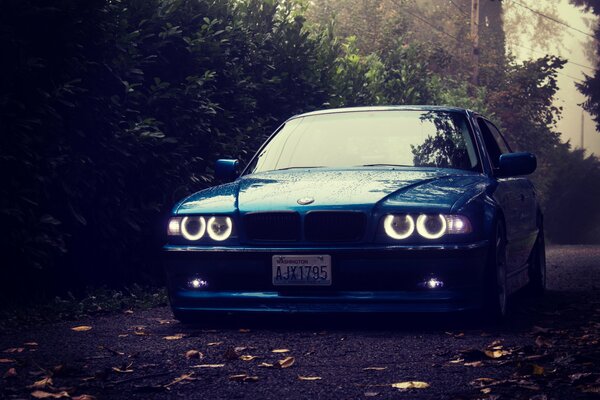 Boomer with burning headlights on the background of the evening forest