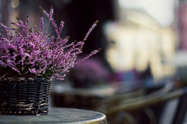 Korb mit Blumen auf verschwommenem Hintergrund