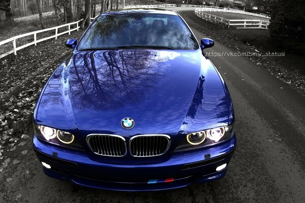 Beautiful blue BMW in the autumn park