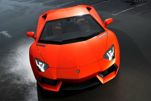 Voiture de sport orange venimeuse aventador lp700-4