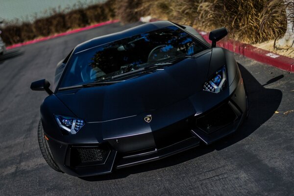 Superdeportivo Lamborghini negro de pie en la carretera