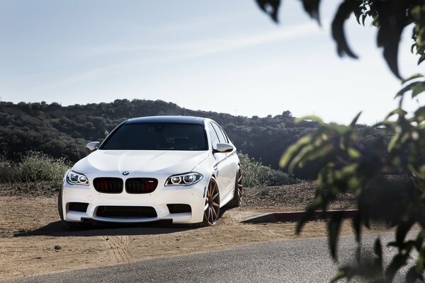 Schöner weißer BMW auf Naturhintergrund