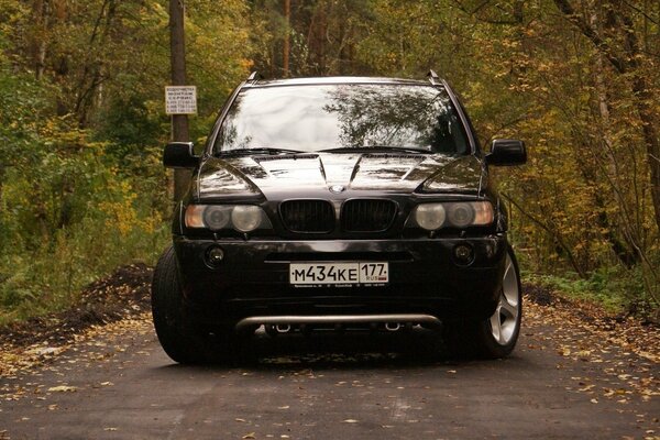 BMW in autumn in the forest stands on the road