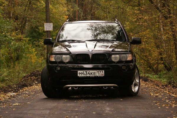 BMW in autunno nella foresta sta sulla strada