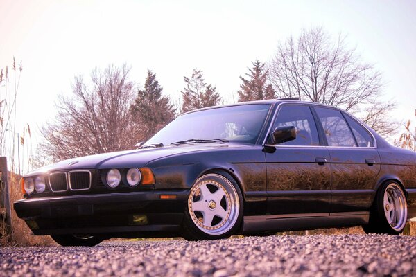 A black BMW 5 Series is on the road