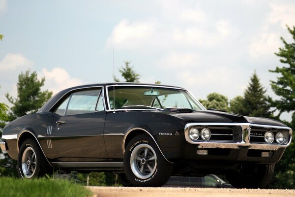 A black pontiac stands against the background of nature